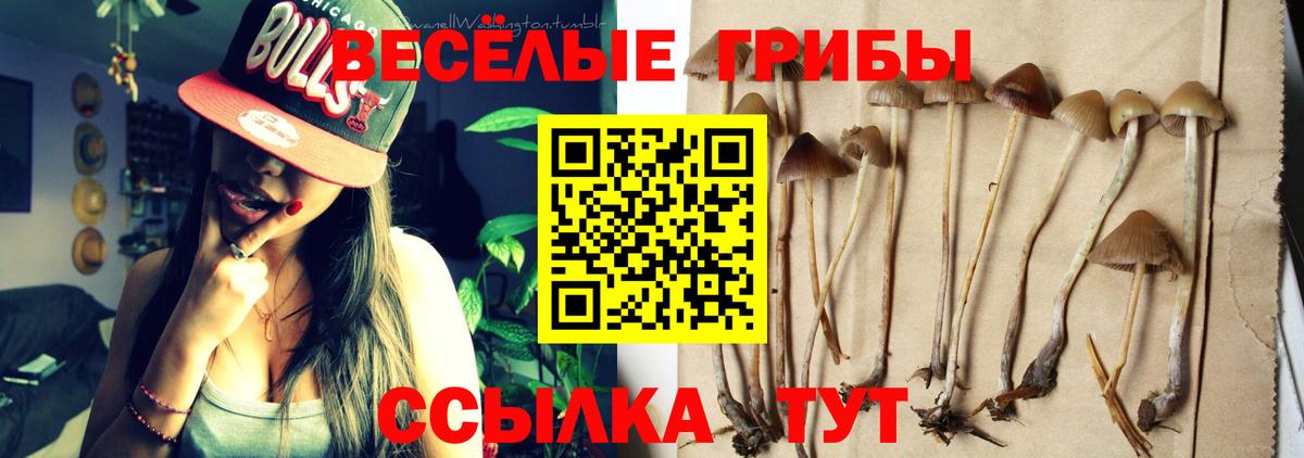 Черняховск  Галлюциногенные грибы прущие грибы  Вход с VPN  Псилоцибиновые грибы Magic Shrooms 