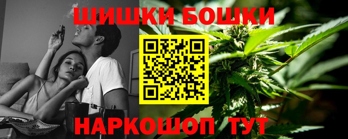 Конопля сатива Черняховск